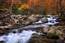 mountain stream